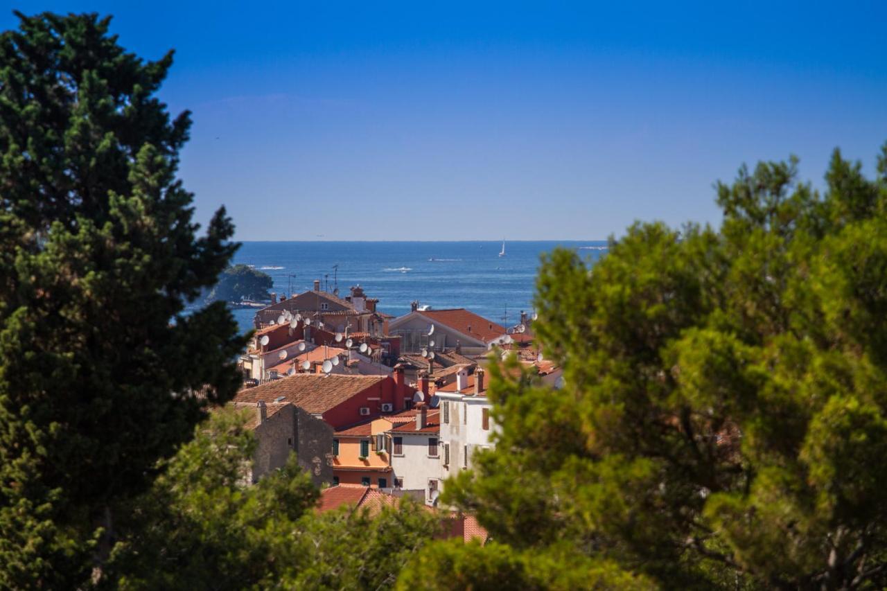 B&B Baron Gautsch Ровинь Экстерьер фото